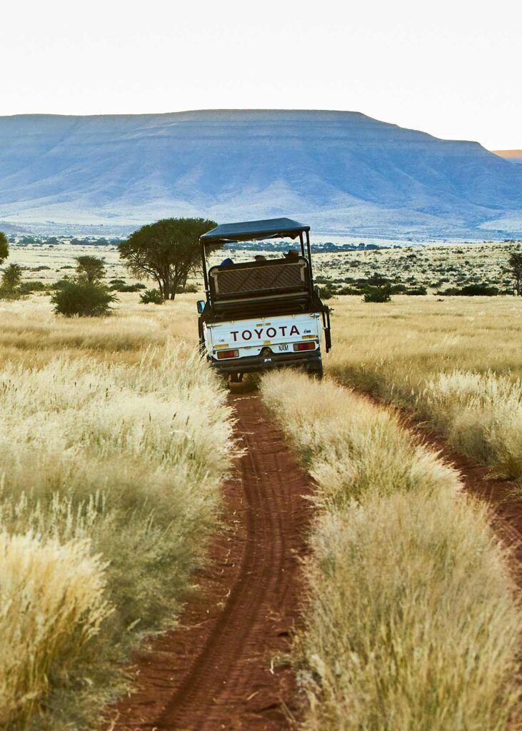 game drive vehicle in tall grass